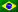 Portuguese (Brazilian)