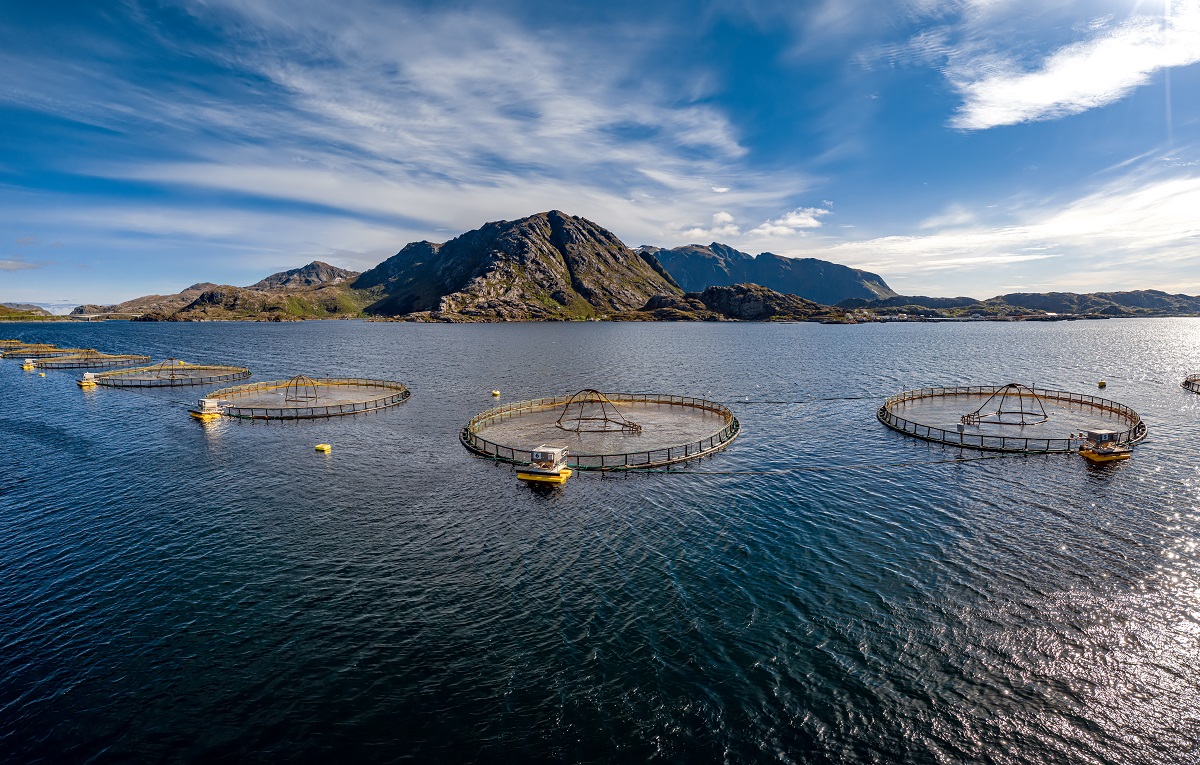 Hydronix Water Underwater fish farm